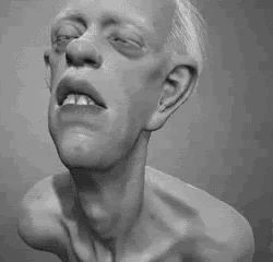 komsz