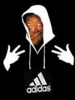 Gáborvectra