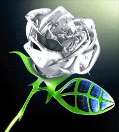 Kistata