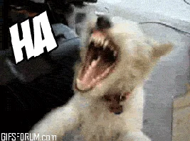 Atia