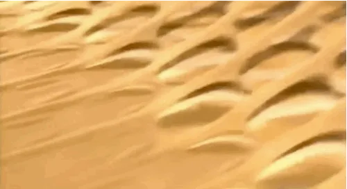 Thumbnail 22