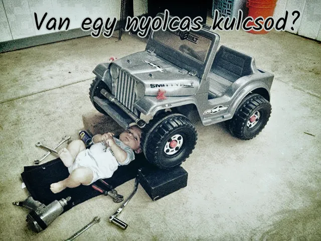 Thumbnail 18