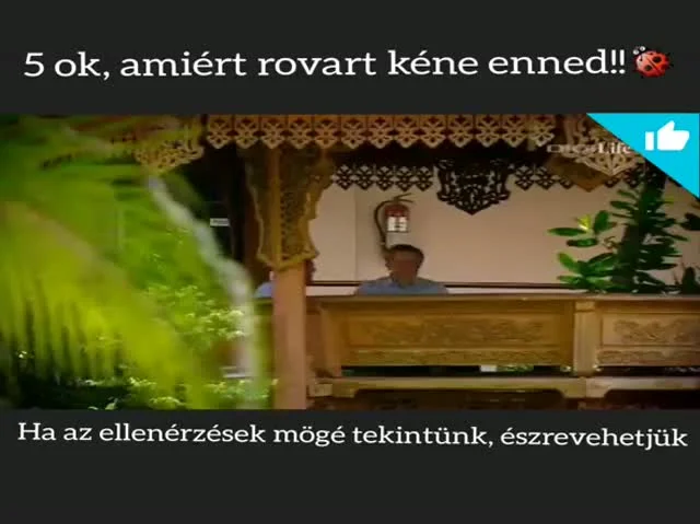 A rovarevés megmentheti a világot az éhezéstől