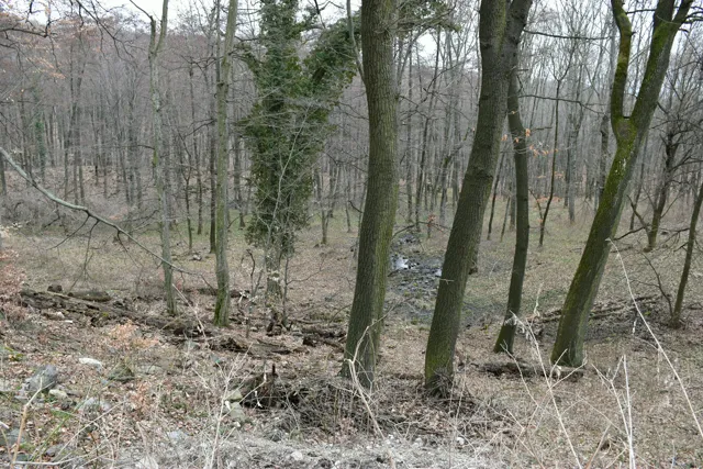 Thumbnail 23