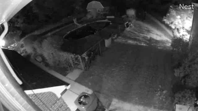 A videó címe: a pók és a hálója