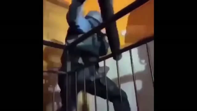 Tökéletes védelem