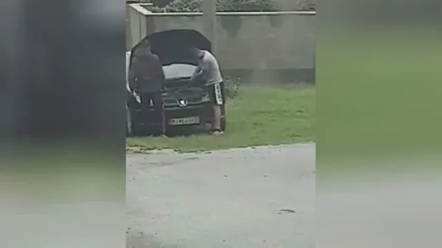 Profizmus