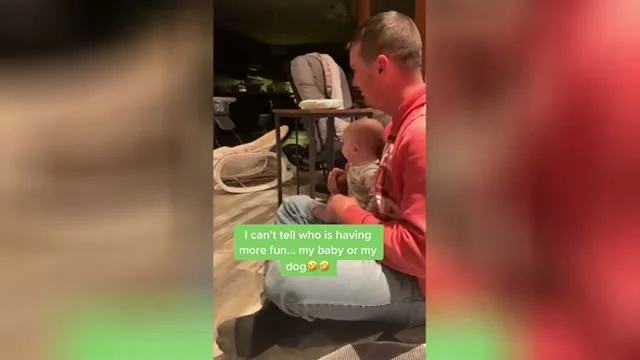 Hol a labda?! (Cukiság)