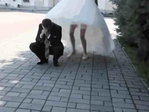 Néhány gif