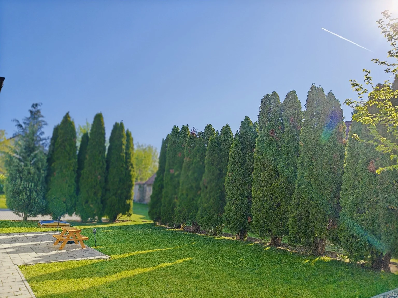 Tuják közt békében