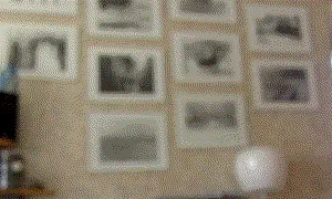 Thumbnail 13