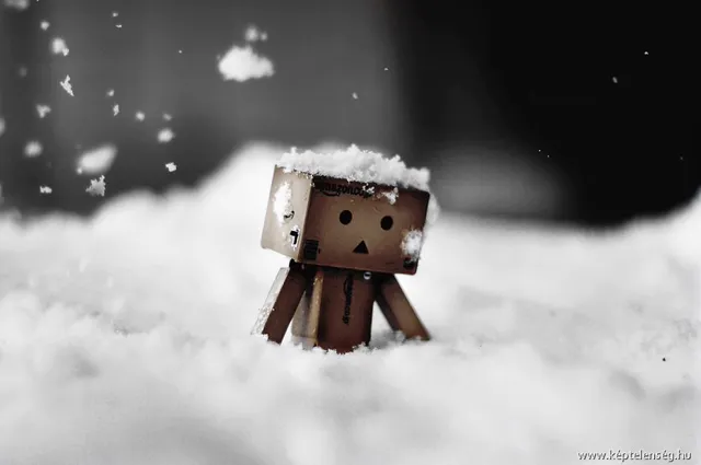 Thumbnail 13