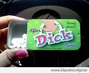 Thumbnail 13
