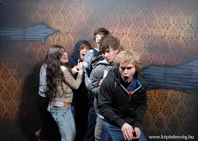 Thumbnail 13