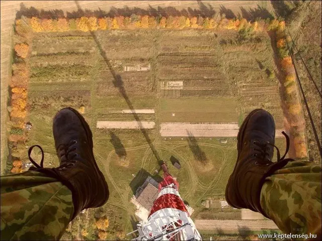 Thumbnail 22