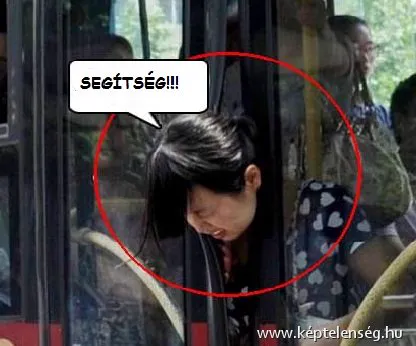 Thumbnail 26