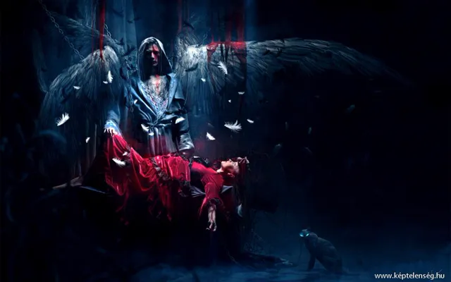 Thumbnail 9