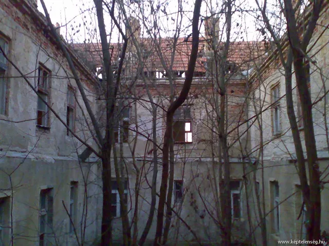 Thumbnail 20