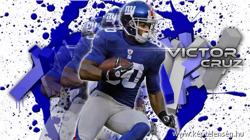 Thumbnail 29