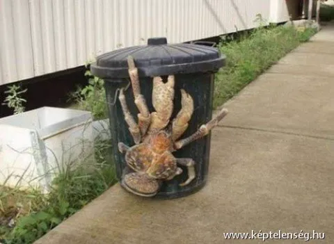 Thumbnail 20