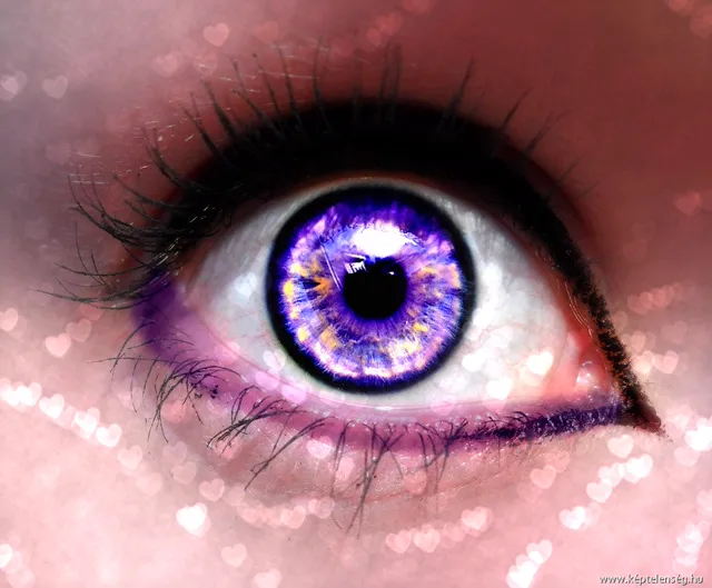 Thumbnail 29