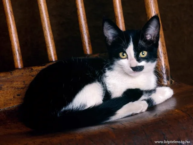 Thumbnail 27