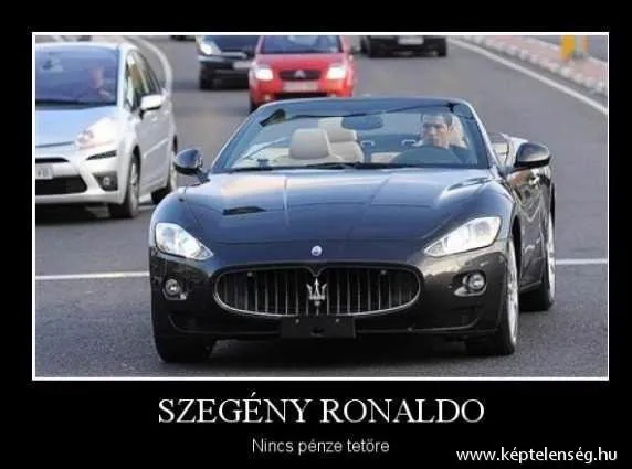 Thumbnail 22
