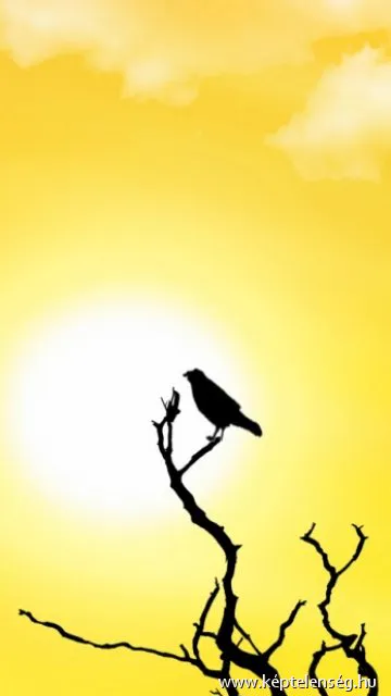 Thumbnail 26