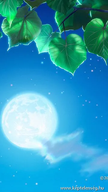 Thumbnail 28