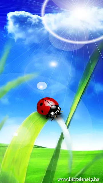 Thumbnail 33