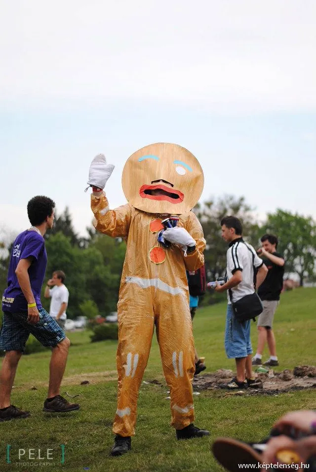 Thumbnail 17