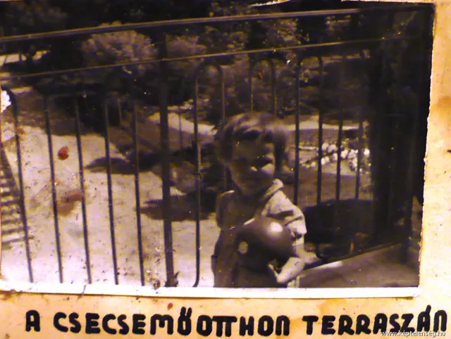 Thumbnail 48