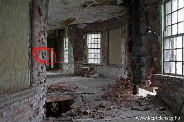 Thumbnail 13