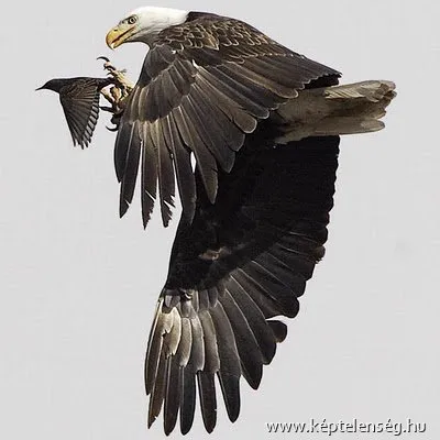 Thumbnail 30