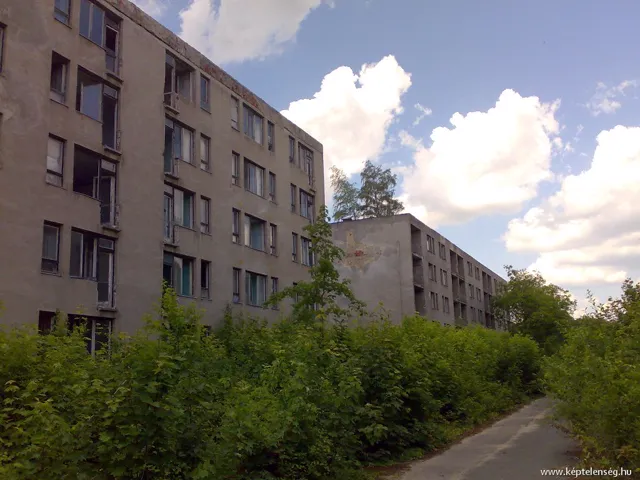 Thumbnail 14