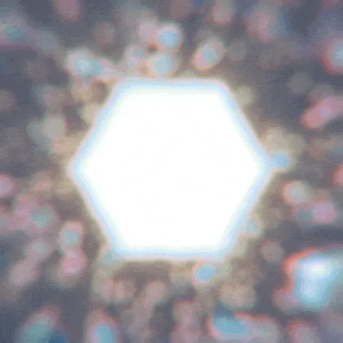 Thumbnail 43