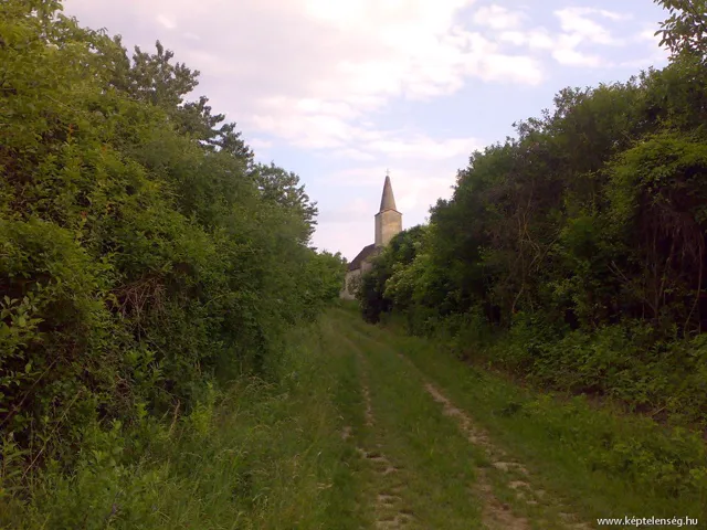 Thumbnail 13