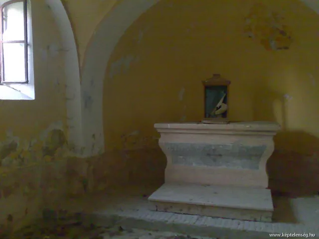 Thumbnail 29