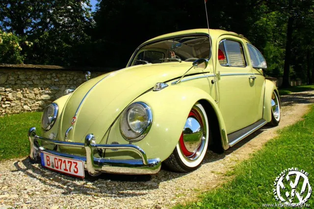 Thumbnail 40