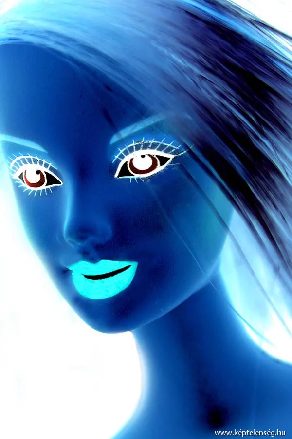 Thumbnail 22