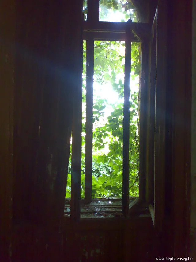 Thumbnail 26