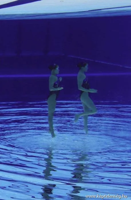 Thumbnail 13