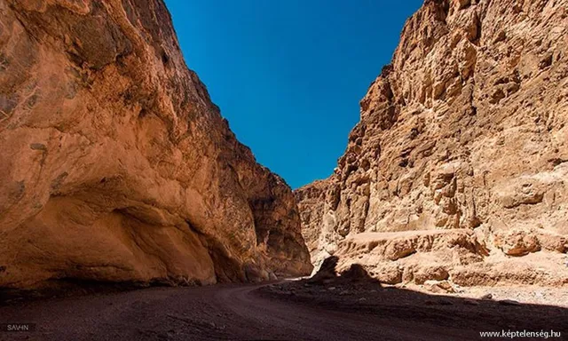 Thumbnail 14