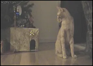Thumbnail 27