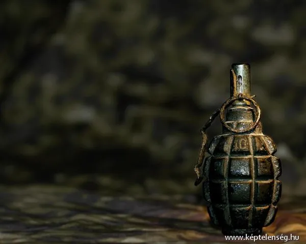 Thumbnail 31