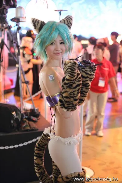 Thumbnail 22
