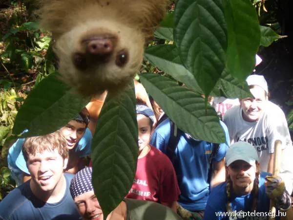 Thumbnail 22