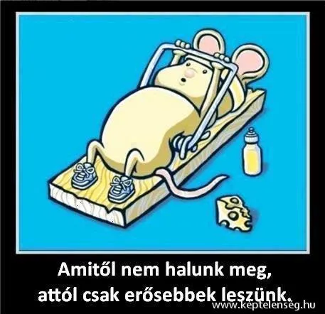 Thumbnail 28