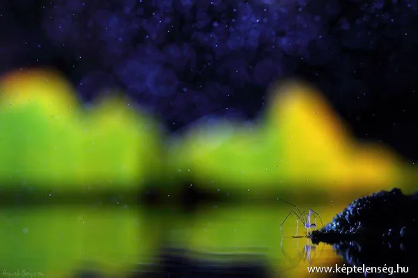 Thumbnail 27