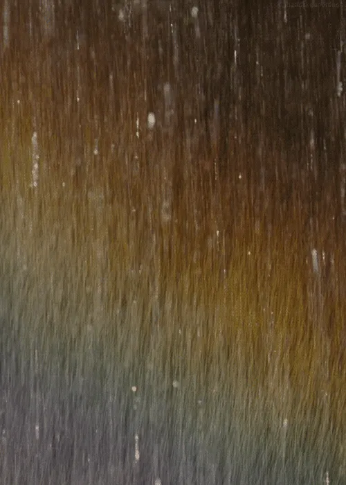 Thumbnail 24